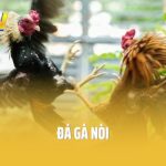 đá gà nòi