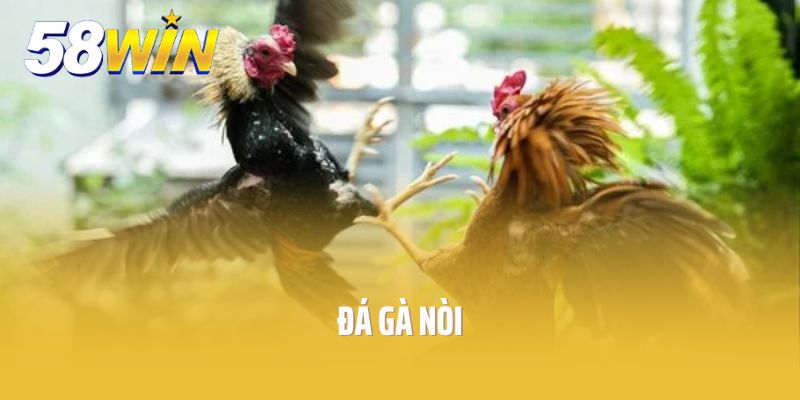 đá gà nòi