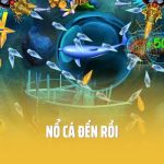 nổ cá đến rồi